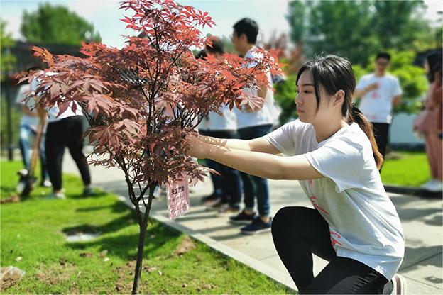 团委植树